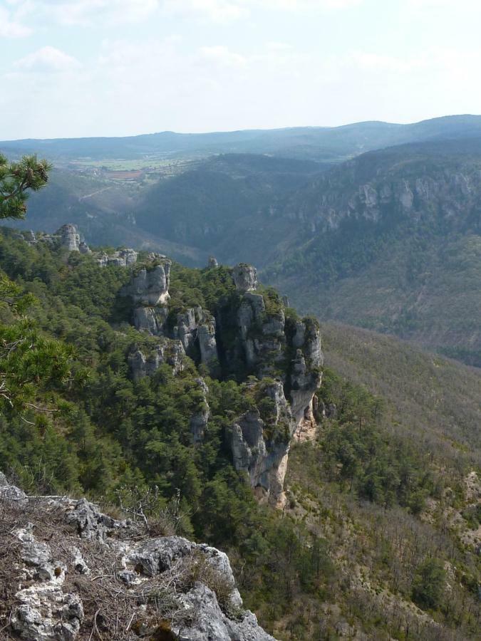 Le Passe Compose Villa Millau Eksteriør billede